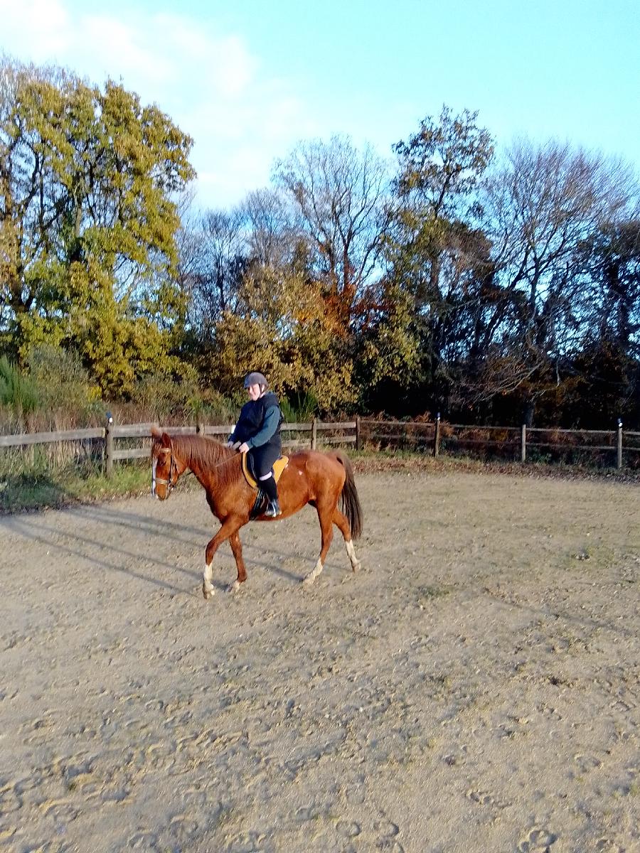 sejour C�tes-d�Armor Vall�e du Trieux photo 2