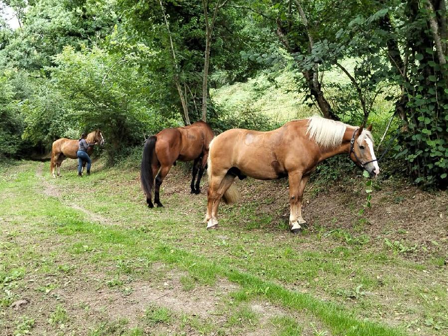 sejour Calvados Suisse Normande photo 3