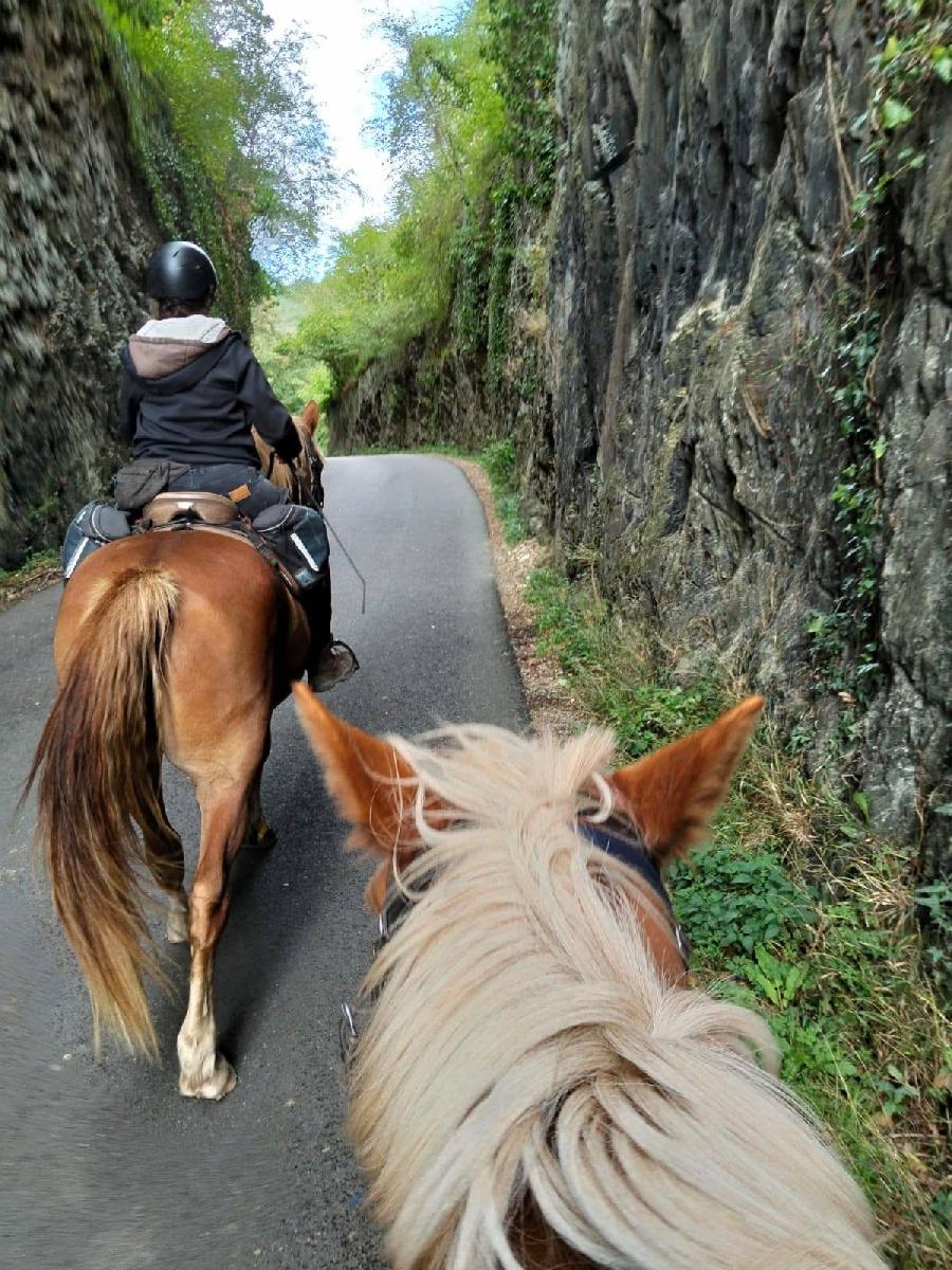 sejour Calvados Suisse Normande photo 6