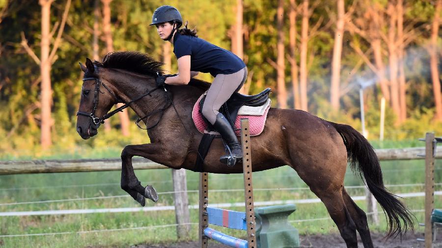 stage Dressage Landes