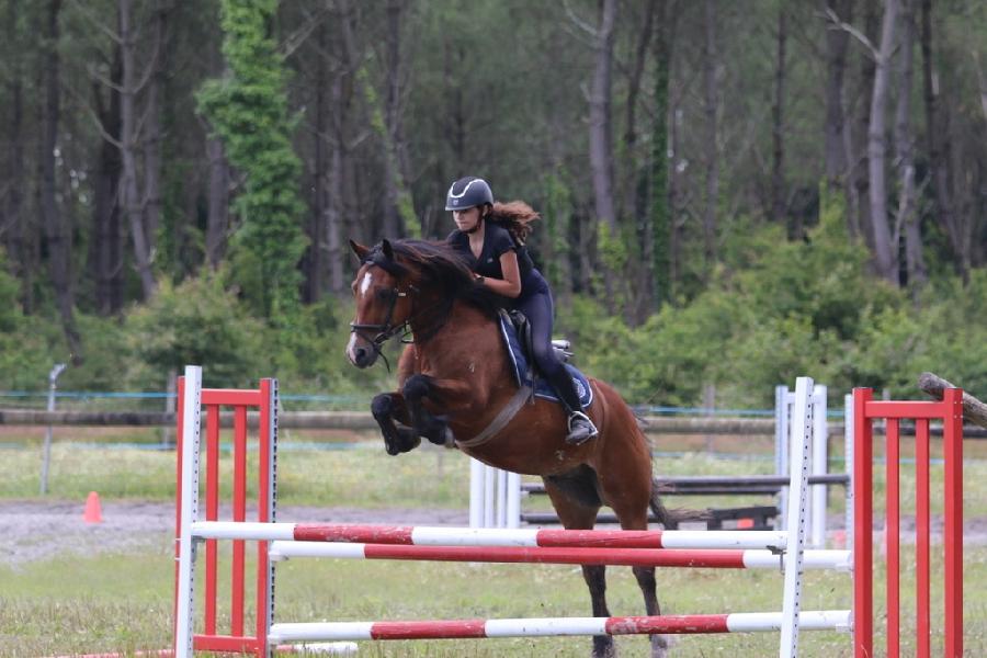 Stage quitation Landes Cte Atlantique Landaise photo 4