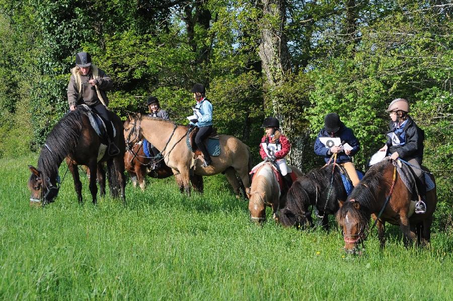 Stage, séjour et randonnée à cheval et poney en France