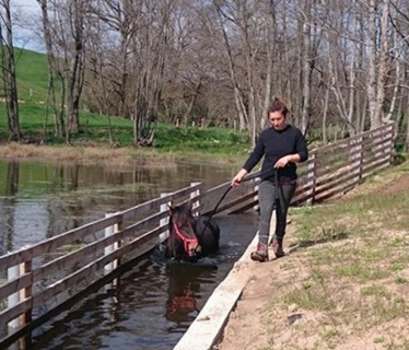 curies HorSysteme  <em>03120 Saint-Christophe-en-Bourbonnais</em> Allier