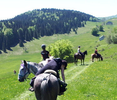 Ferme Equestre de la Pelaisse à  Jura