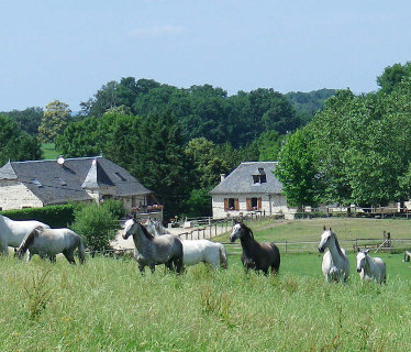 Ferme Equestre de Mialaret à  Corrèze