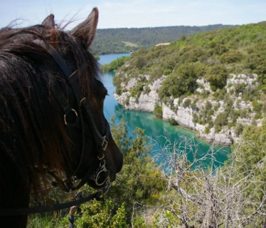 Les Chevaux du Verdon  <em>83630 Artignosc-sur-Verdon</em> Var